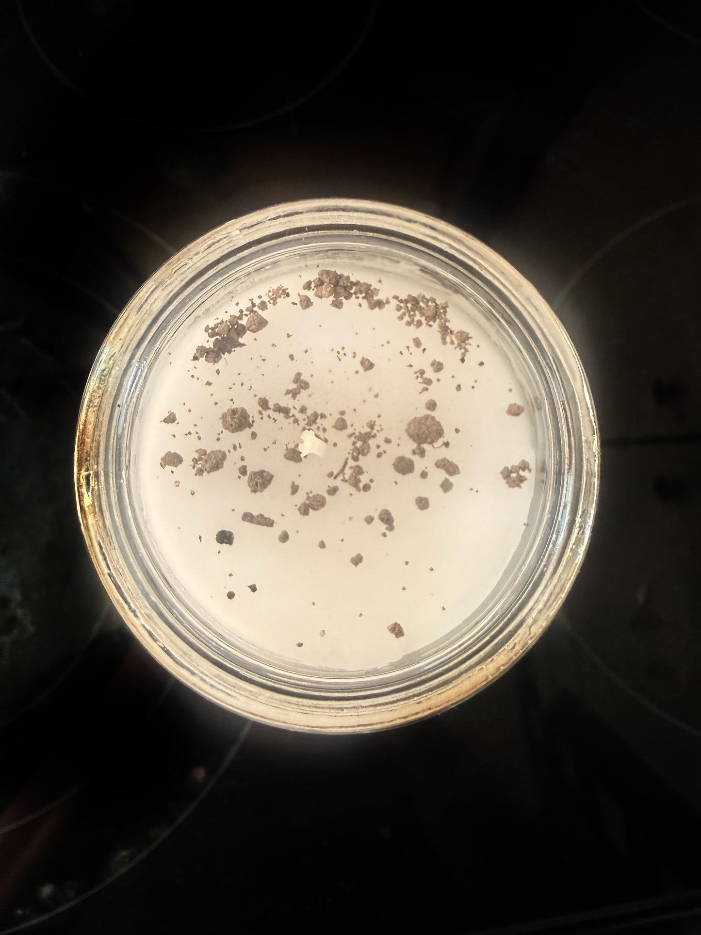 Ancestors Seven-Day Ritual Candle